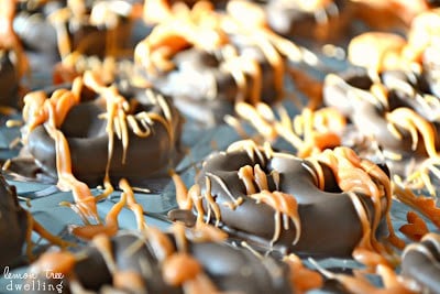 Chocolate Orange Pretzels are a quick and easy snack that will satisfy your cravings. Chocolate and orange marry in this perfect sweet and salty combination sure to please everyone.