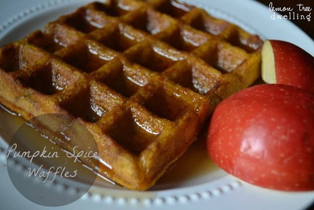 Pumpkin Spice Waffles are sure to please your family for breakfast. 