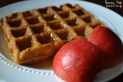 Pumpkin Spice Waffles are sure to please your family for breakfast. 