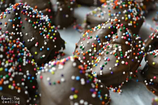 Chocolate Covered Fortune Cookies flavored with cinnamon, nutmeg, and allspice. Destined to bring you good luck in the New Year!