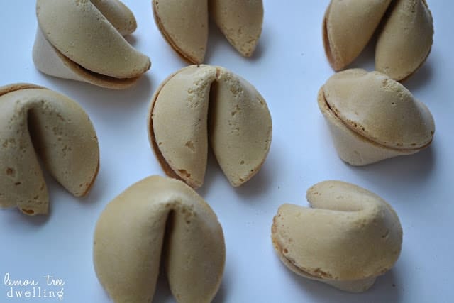 Chocolate Covered Fortune Cookies flavored with cinnamon, nutmeg, and allspice. Destined to bring you good luck in the New Year!