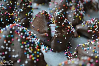 Chocolate Covered Fortune Cookies flavored with cinnamon, nutmeg, and allspice. Destined to bring you good luck in the New Year!