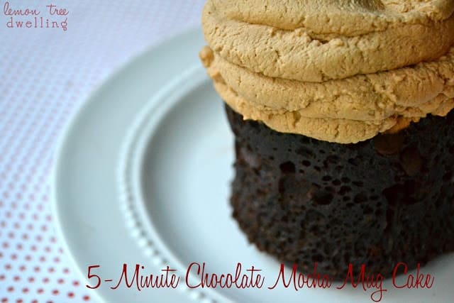 5 Minute Chocolate Mocha Mug Cake