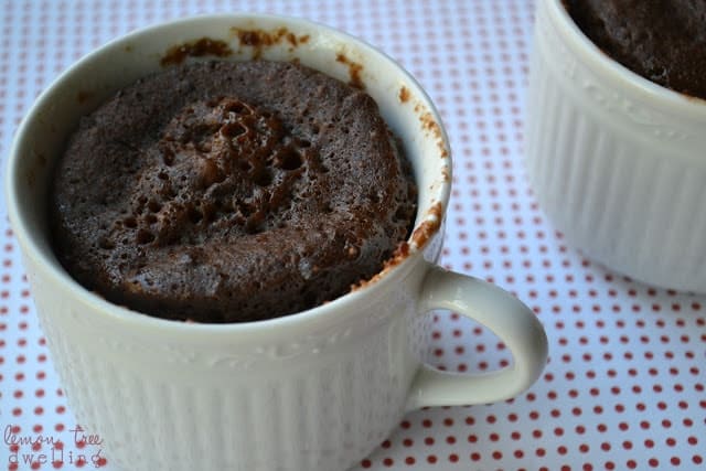 Mug of Chocolate Mocha Cake