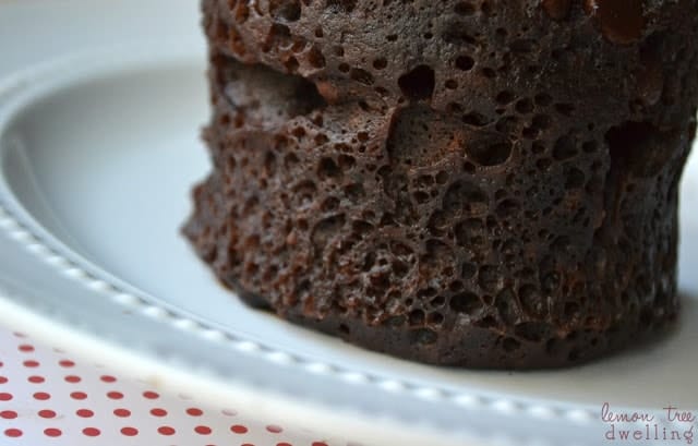 Rich Dark Chocolate Mocha Mug Cake