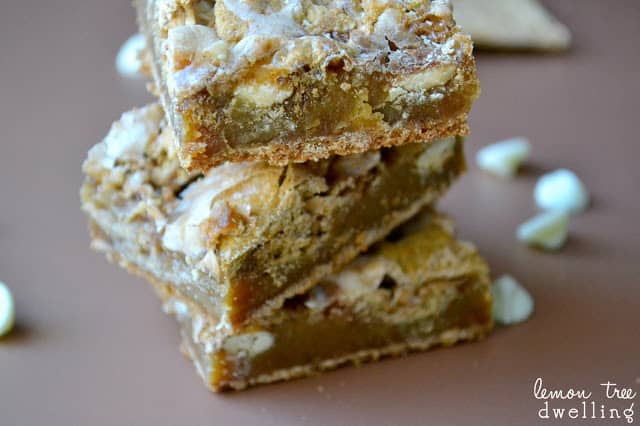 Cinnamon S'more Blondies don't need any campfire to enjoy! These chewy blondies will have you dreaming of summer! Delicious for any occasion or celebration