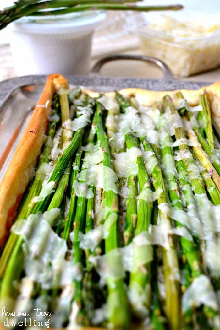 Asparagus Crescent Squares with 2 types of cheese and a soft, flaky crust