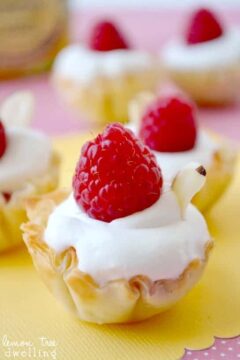 Lemon-Raspberry Phyllo Tarts – Lemon Tree Dwelling