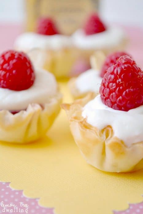 Lemon-Raspberry Phyllo Tarts – Lemon Tree Dwelling