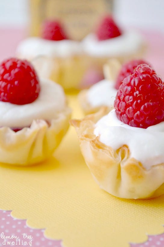 Lemon-Raspberry Phyllo Tarts | Lemon Tree Dwelling