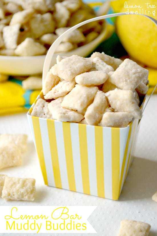 Lemon best sale puppy chow