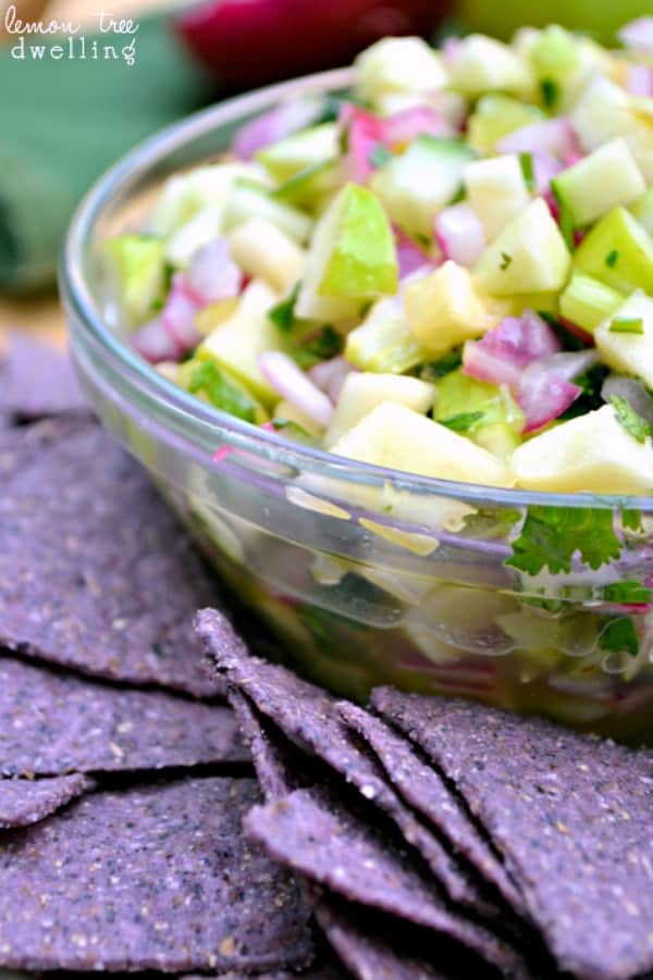 Apple Salsa – The Old Mill