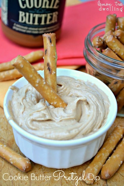 Cookie Butter Pretzel Dip – Lemon Tree Dwelling