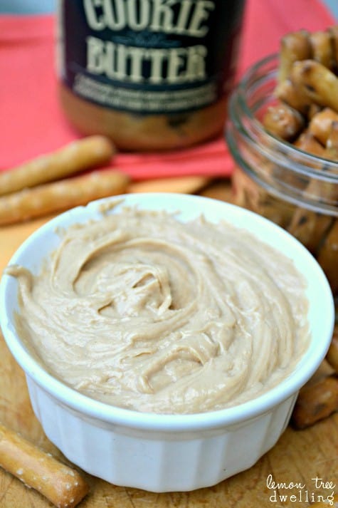 Cookie Butter Pretzel Dip – Lemon Tree Dwelling