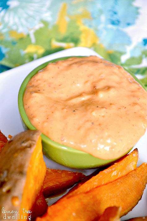 This Creamy Southwest Dipping Sauce combines mayo, roasted red peppers, honey, and seasonings in a delicious sauce that is perfect for french fries, chicken tenders, crab cakes, or your favorite appetizers!