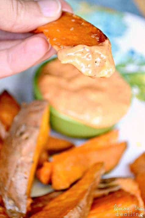This Creamy Southwest Dipping Sauce combines mayo, roasted red peppers, honey, and seasonings in a delicious sauce that is perfect for french fries, chicken tenders, crab cakes, or your favorite appetizers!