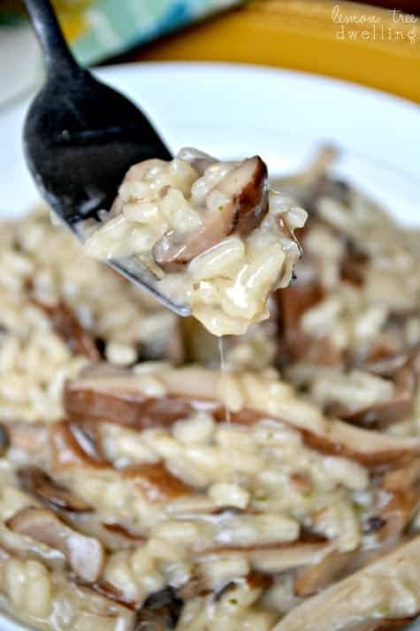 Creamy Mushroom Risotto  Lemon Tree Dwelling