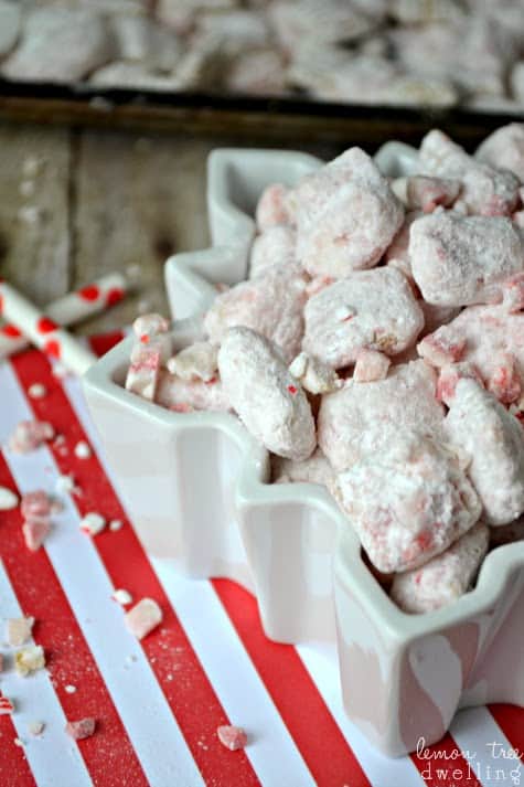 Candy Cane Muddy Buddies are a sweet and crunchy mint treat sure to please everyone over the holidays! Chocolate and Mint - It's pure peppermint perfection!