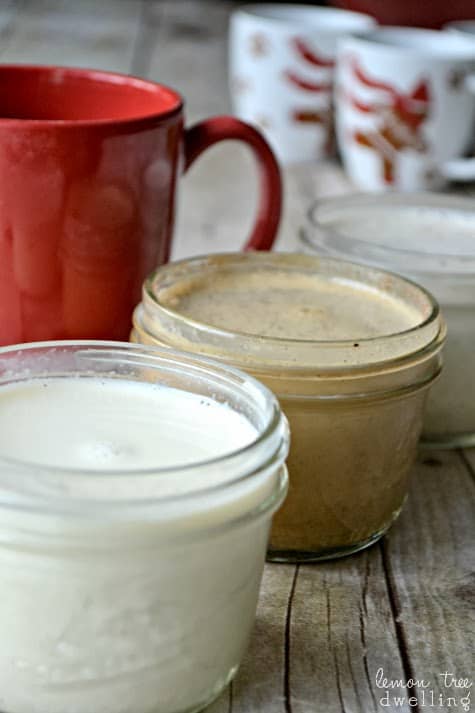 Homemade Holiday Coffee Creamers - Eggnog, Gingerbread, & Vanilla Mint!