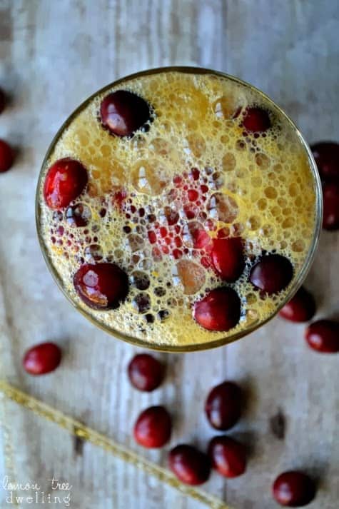Delicious brandy slush mixed with ginger ale and fresh cranberries....a beautiful, bubbly, and festive holiday beverage!