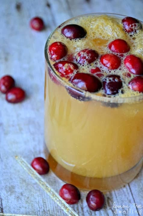 Delicious brandy slush mixed with ginger ale and fresh cranberries....a beautiful, bubbly, and festive holiday beverage!