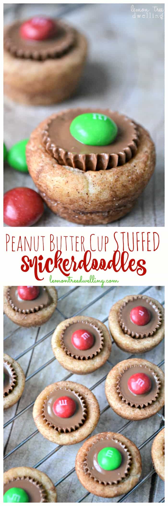 Peanut Butter Cup Stuffed Snickerdoodles are a sweet treat that will please even your biggest critics. These delightful stuffed snickerdoodles area fun and delicious combination....perfect for Christmas!