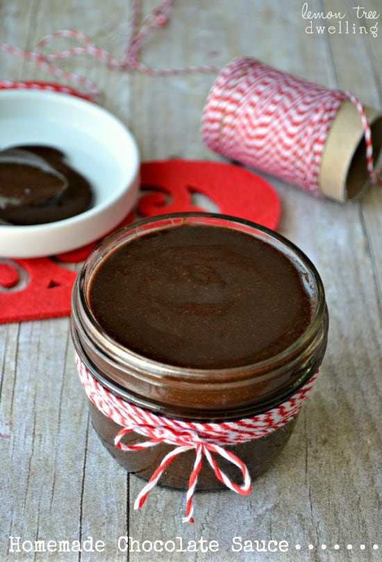 Homemade Chocolate Sauce | Lemon Tree Dwelling