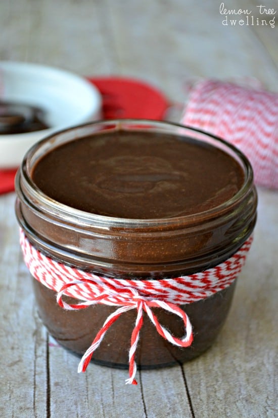 Homemade Chocolate Sauce - just 5 ingredients and perfect for drizzling on EVERYTHING!