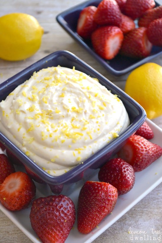 https://lemontreedwelling.com/wp-content/uploads/2014/03/Creamy-Lemon-Dip-31.jpg