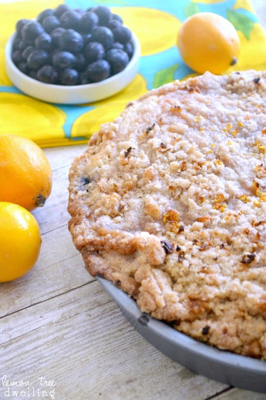 Lemon Blueberry Coffee Cake - a deliciously sweet, buttery coffee cake for Mother's Day or any special occasion!