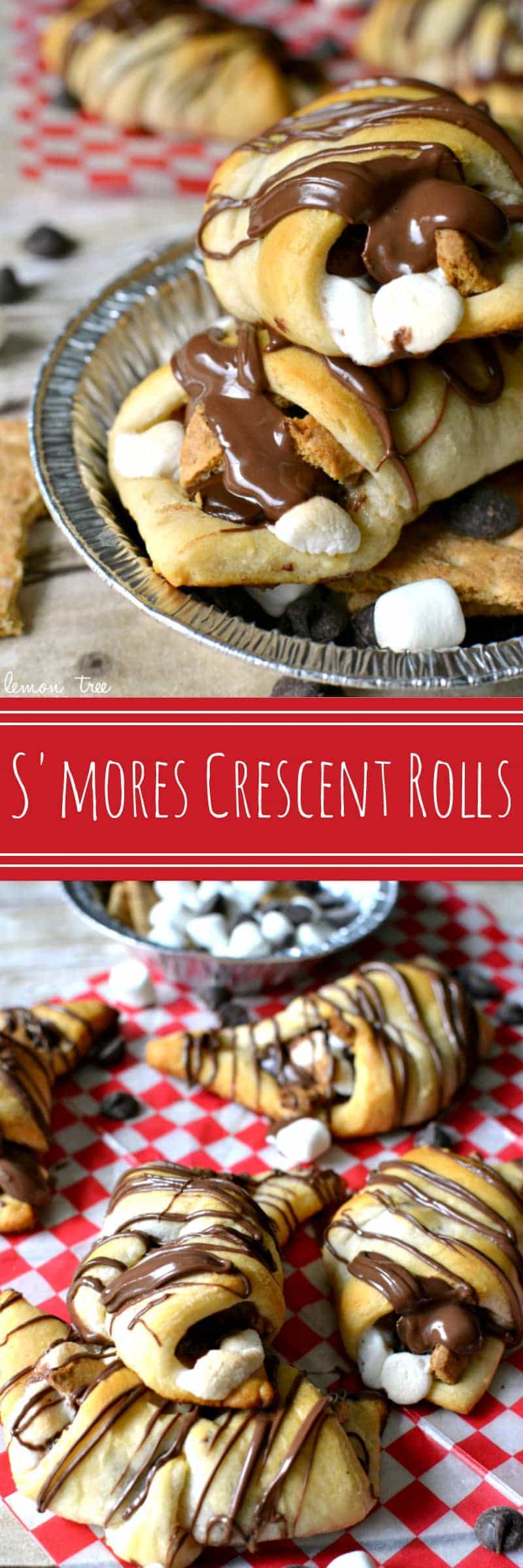  S'mores Crescent Rolls stuffed with chocolate chips, marshmallows, graham crackers and Nutella and topped with Nutella drizzle. Our favorite new way to enjoy s'mores!