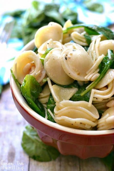 Spinach, Pine Nut & Parmesan Pasta Salad – Lemon Tree Dwelling