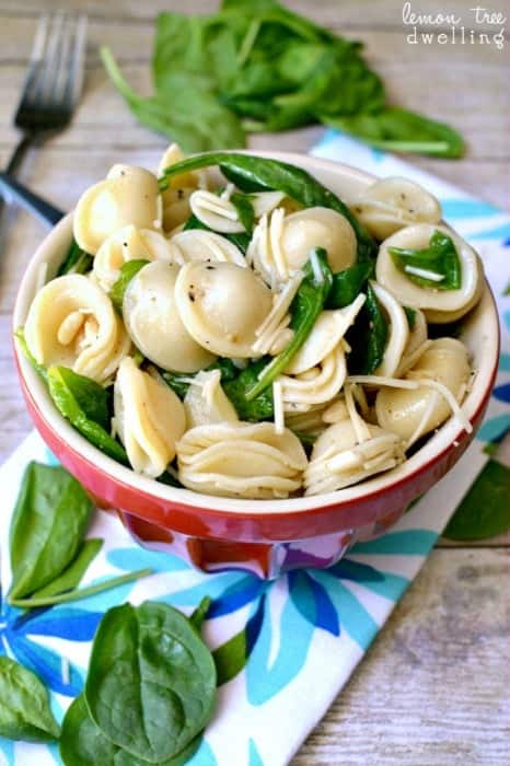 Spinach, Pine Nut & Parmesan Pasta Salad – Lemon Tree Dwelling