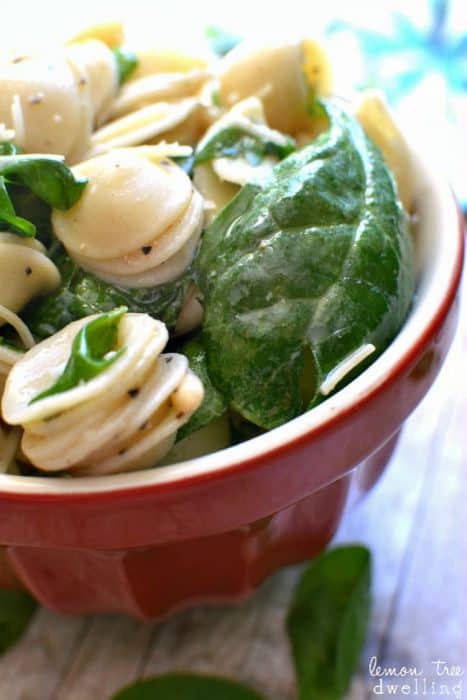 Spinach, Pine Nut & Parmesan Pasta Salad – Lemon Tree Dwelling