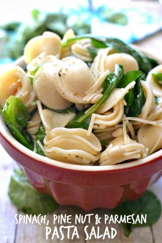 Spinach, Pine Nut & Parmesan Pasta Salad – Lemon Tree Dwelling