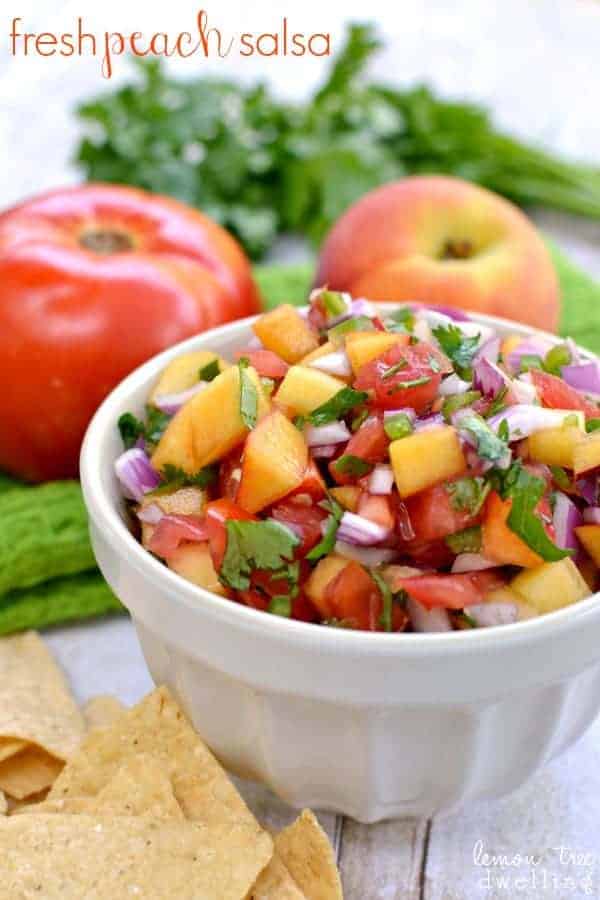 Homemade Salsa Recipe - Lauren's Latest