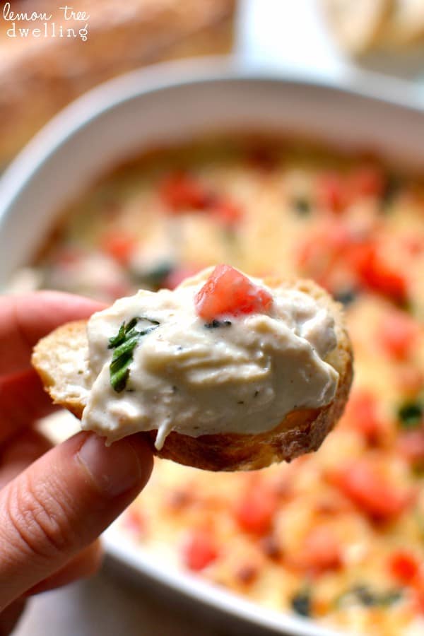 Cheesy Chicken Alfredo Dip - ready in 30 minutes and perfect for game day!