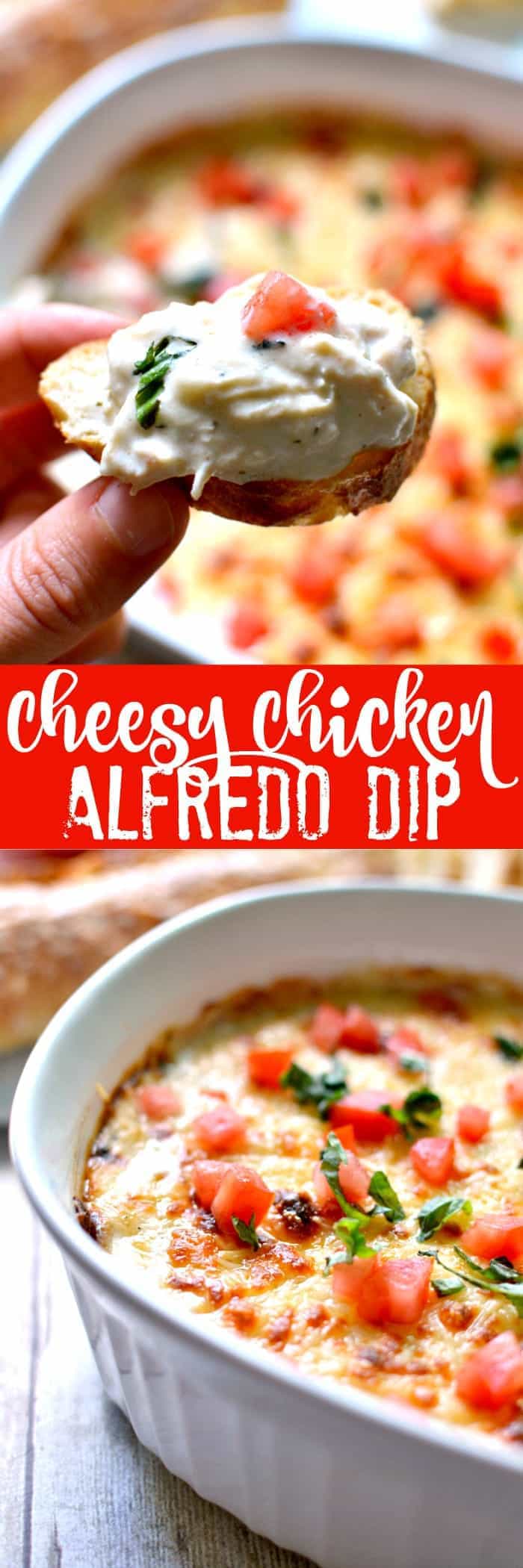 Cheesy Chicken Alfredo Dip - ready in 30 minutes and perfect for game day!