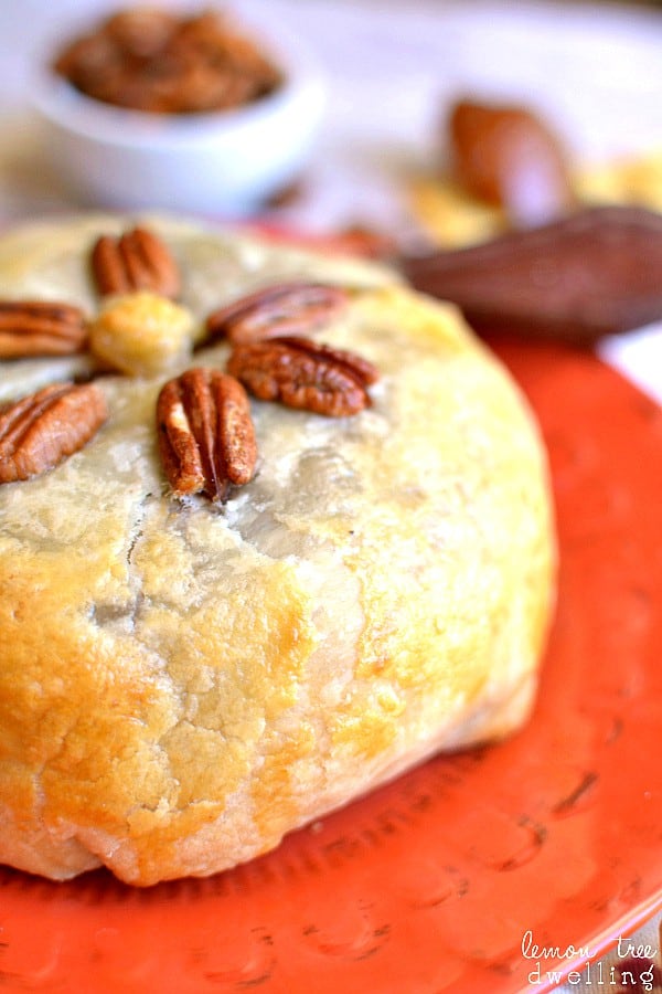  Brie cheese, pumpkin butter & pecans, wrapped in puff pastry and baked to ooey gooey perfection!