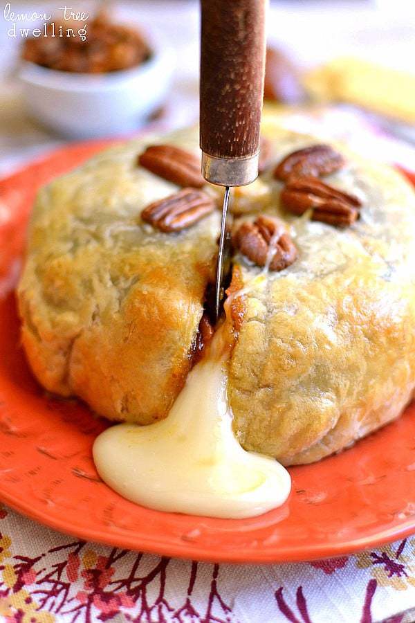  Brie cheese, pumpkin butter & pecans, wrapped in puff pastry and baked to ooey gooey perfection!