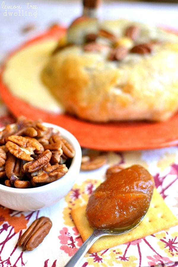  Brie cheese, pumpkin butter & pecans, wrapped in puff pastry and baked to ooey gooey perfection!