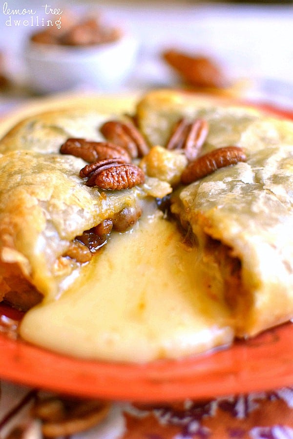  Brie cheese, pumpkin butter & pecans, wrapped in puff pastry and baked to ooey gooey perfection!