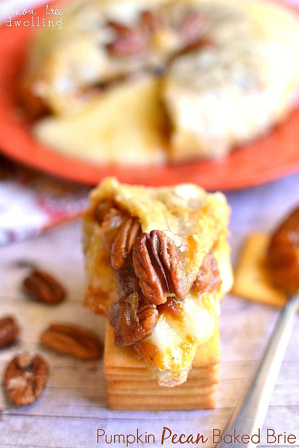  Brie cheese, pumpkin butter & pecans, wrapped in puff pastry and baked to ooey gooey perfection!