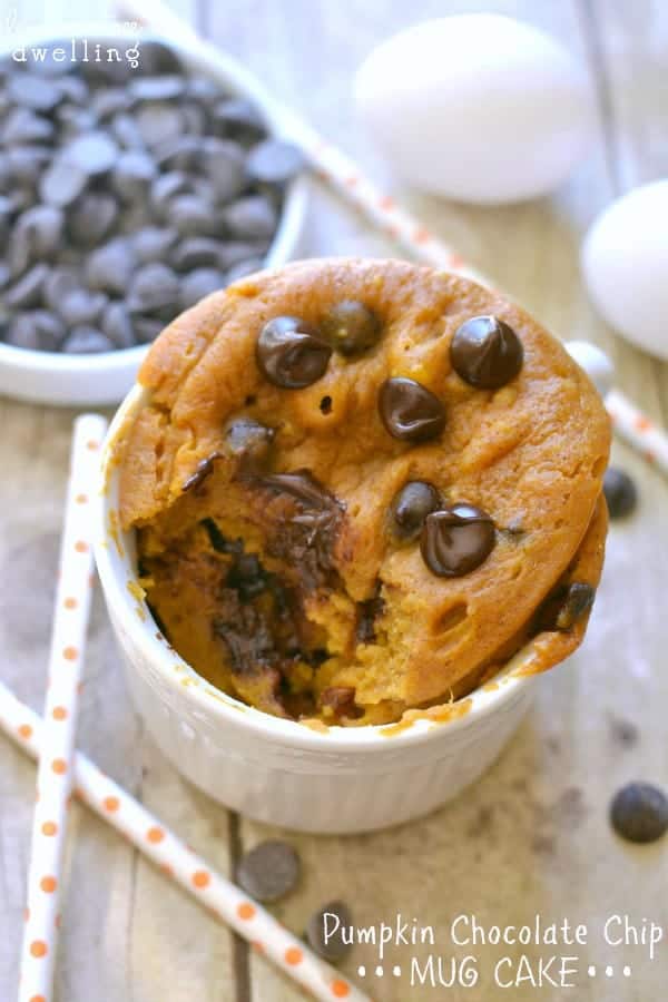 Pumpkin Chocolate Chip Mug Cake - 6 ingredients and 2 minutes to perfection!