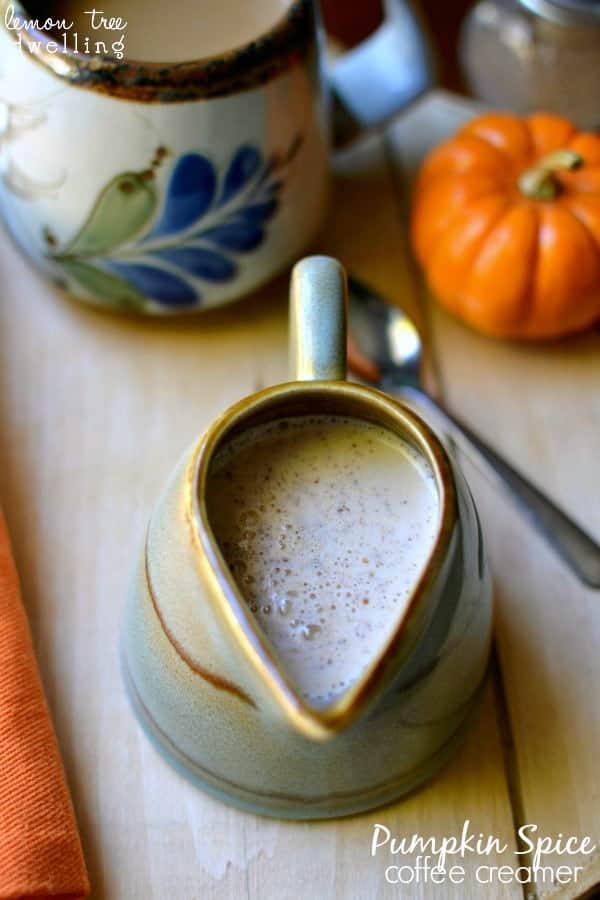 Pumpkin Spice Coffee Creamer 3