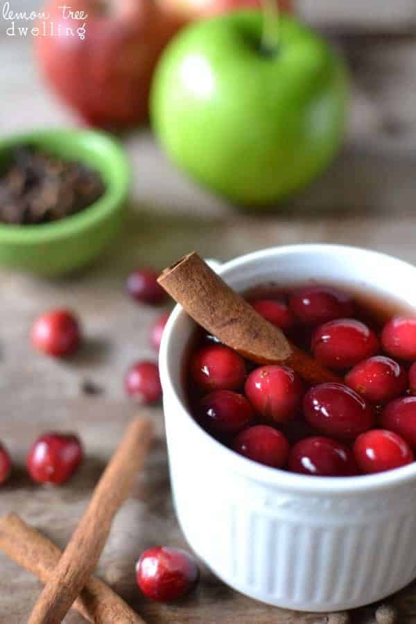 Spiced Cranberry Apple Cider Lemon Tree Dwelling