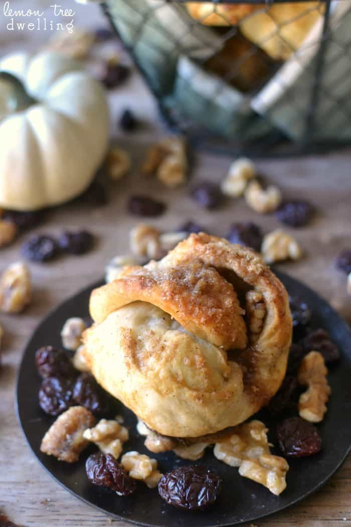 Cranberry Walnut Knots made with Rhodes Dinner Rolls are easy to make and are sure to please everyone. These delicious little rolls are stuffed with dried cranberries and walnuts and topped with a brown sugar streusel to add a little sweetness to your Thanksgiving table!