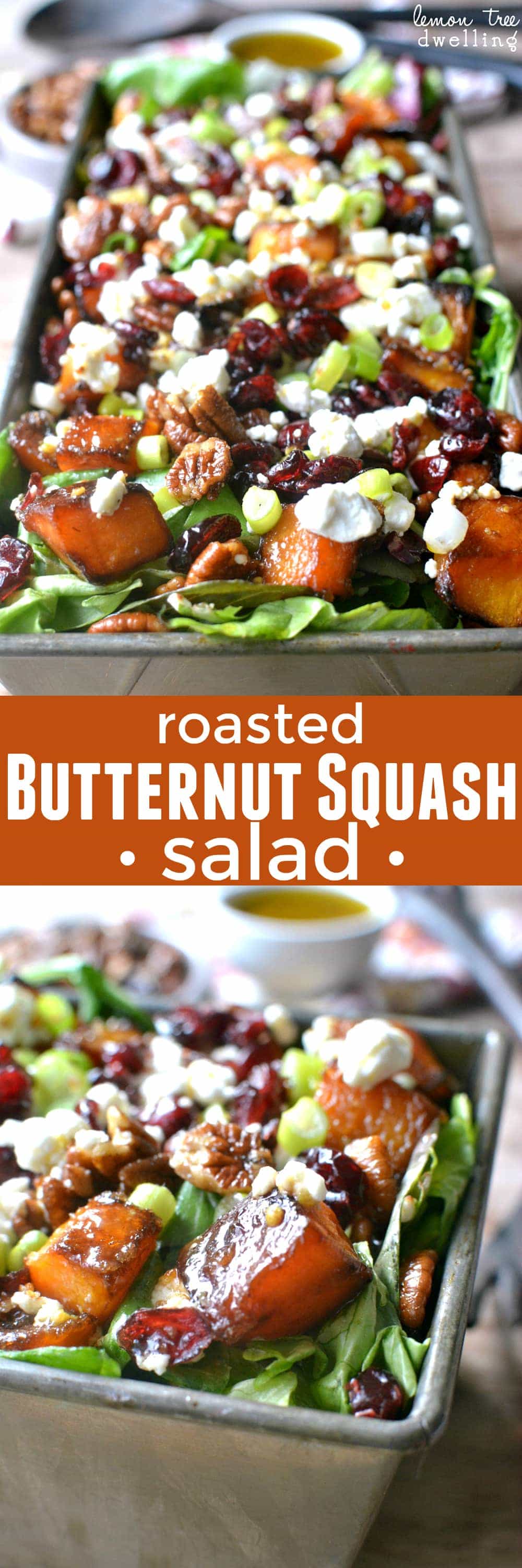  Mixed greens topped with roasted butternut squash, pecans, dried cranberries, goat cheese, and maple mustard vinaigrette. The BEST Thanksgiving salad!!
