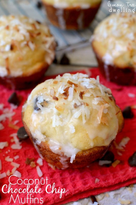 Coconut Chocolate Chip Muffins 1b