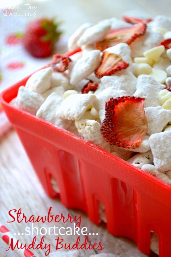 Strawberry Shortcake Muddy Buddies 1b